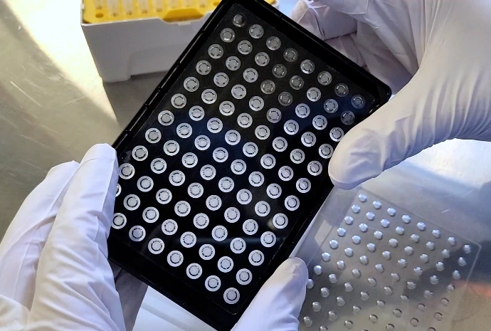 Example of a microplate for organoid and spheroid culture manufactured by Bondus